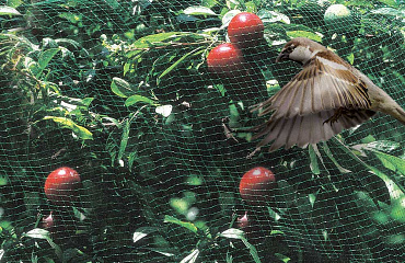 Защитная Сетка ORTOFLEX от птиц, цвет зеленый