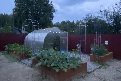Купить Виноградная Арка 2440х1500х340мм, 25х25мм в Санкт-Петербурге.