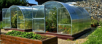 Теплицы из поликарбоната